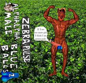 Zebra Pulse - Alphalpha Male/Blue Balls