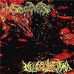 Insectivore / Neuroblastoma - Insectivore / Neuroblastoma