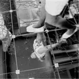 Peder Mannerfelt - Black Holes, Or How We Lost Solidarity