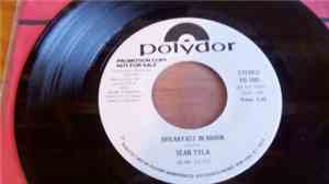 Sean Tyla - Breakfast In Marin