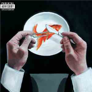 Urban Silhouette - Goldfish Surgery