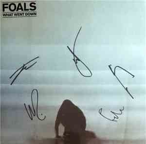 Foals - What Went Down