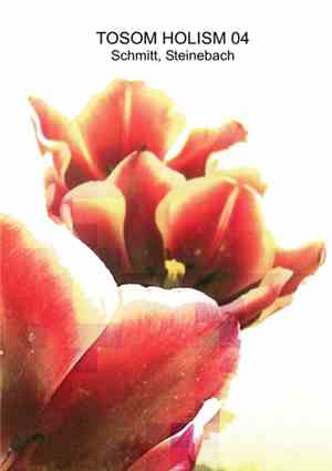 Schmitt / Steinebach - Tosom Holism #04