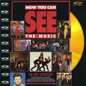 Various - Now You Can See The Music - 24 Hit Videos!