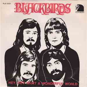 Blackbirds  - Hey, Hey, What A Wonderful World