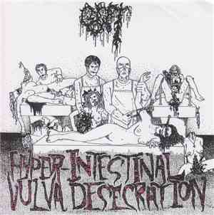 Gut - Hyper-Intestinal Vulva Desecration