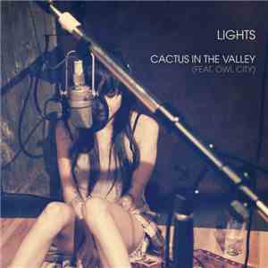 Lights  Feat. Owl City - Cactus In The Valley (Acoustic)