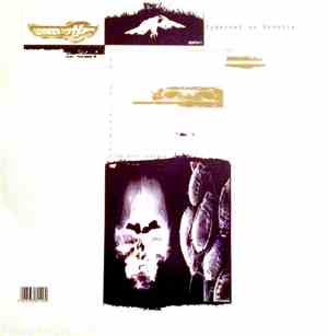 Cybernet vs Genetix - Cyborg One / Program Two