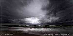Various - Off To The Sea Witherin Trees Sampler No. 2