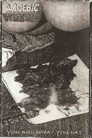 Amoebic Dysentery / Feasting Blood - You Are What You Eat / ...Of The Stenc ...