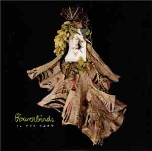 Bowerbirds - In The Yard