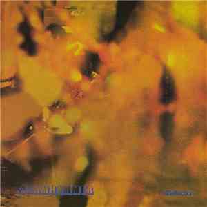 Steamhammer - Reflection