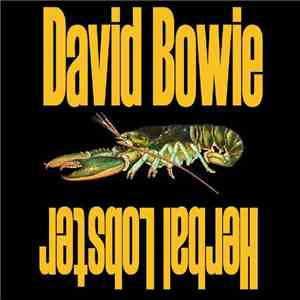 David Bowie - Herbal Lobster