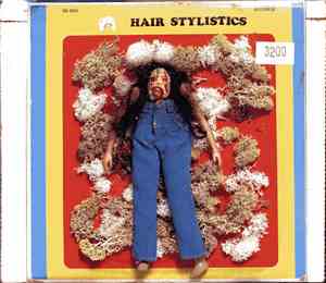 Hair Stylistics - Intelligent Landscapes