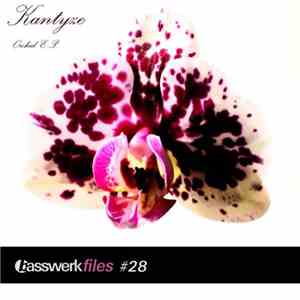 Kantyze - Orchid E.P.