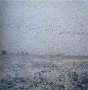 Danny Clay - I Am A Poor Wayfaring Stranger