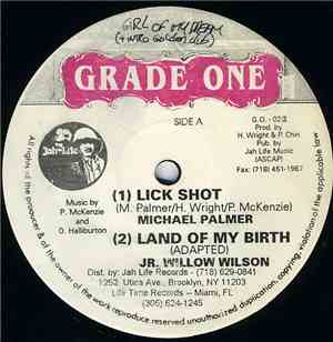 Michael Palmer / Jr. Willow Wilson - Lick Shot / Land Of My Birth