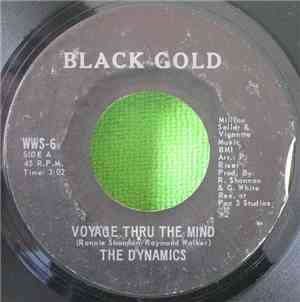 The Dynamics - Voyage Thru The Mind