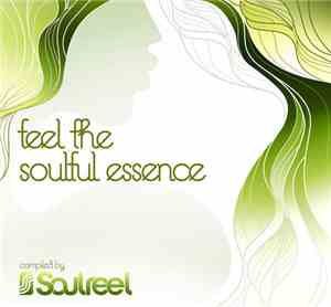 Various - Feel The Soulful Essence