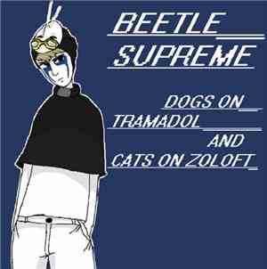 Beetle Supreme - Dogs on Tramadol and Cats on Zoloft