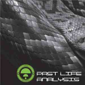 Various - Past Life Analysis