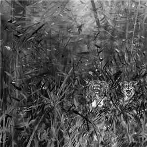 Wet Witch - Wet Witch