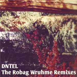 Dntel - The Robag Wruhme Remixes