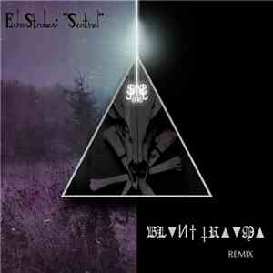 Echo Strobes - Sentinel (BL▼И† †R▲▼M▲REMIX)