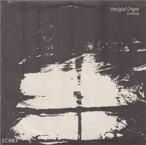 Homebody / Heaven For Real - Vestigial Organ / O So Tired