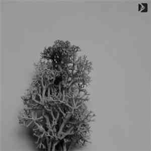 Zoran Relic - Ascetic EP