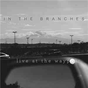 In The Branches - Live At The Waypost
