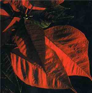 Nocturne  - Untitled