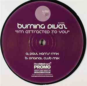 Burning Divaz - I'm Attracted To You