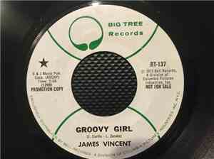James Vincent - Groovy Girl