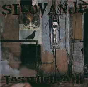 Silovanje - Taste Of Death