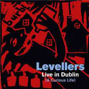 The Levellers - Live In Dublin