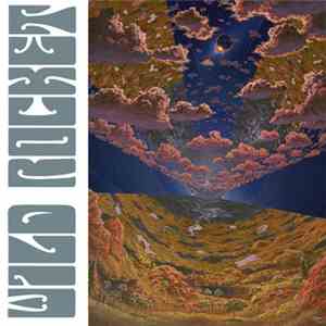 Wild Rocket - Self Medication