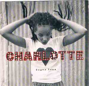 Charlotte - Sugar Tree