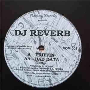 DJ Reverb - Trippin