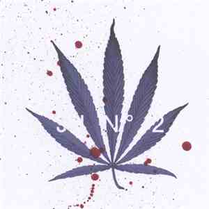 jj  - JJ N° 2