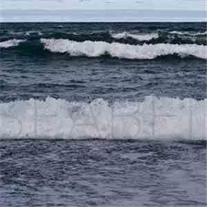 SeaBed - Untitled