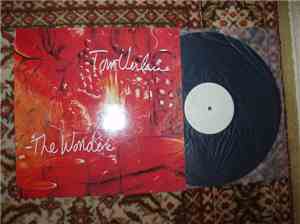 Tom Verlaine - The Wonder