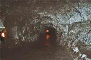 Old Cellar - They Live Down There In The Darkness