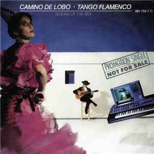 Camino De Lobo - Tango Flamenco