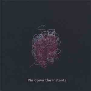 Pin Down The Instants - Pin Down The Instants
