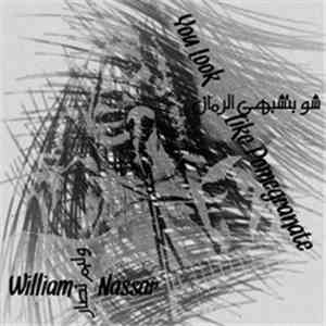 William Nassar - You Look Like Pomegranate