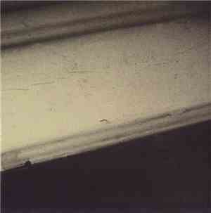 Sleepy Town Manufacture & Unit 21 - No Traces / Dalshe 8 02 02