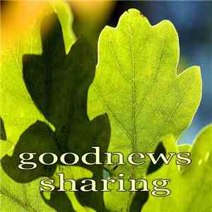 Starrysky - Goodnews Sharing