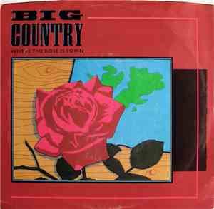 Big Country - Where The Rose Is Sown