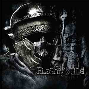 Fleshmould - Interitum